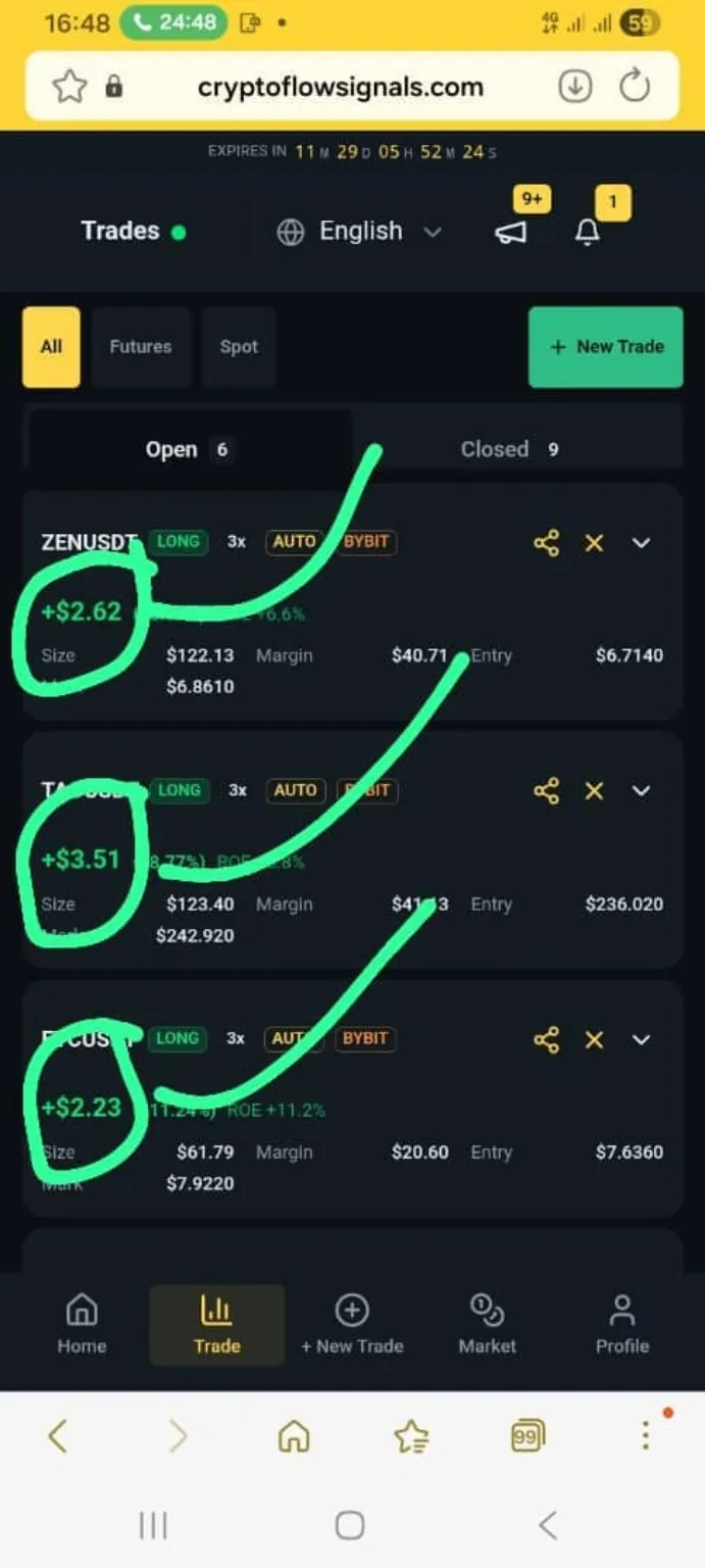 Open trades view